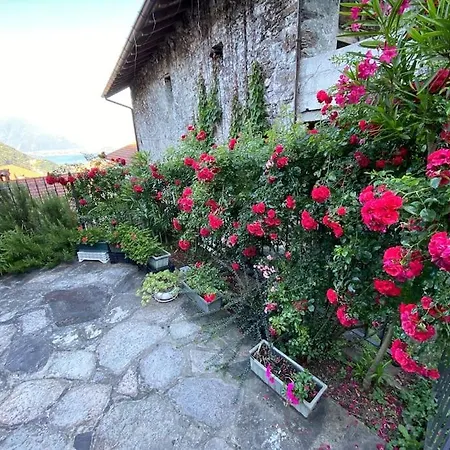 Ferienhaus Casa Le Rose - View
